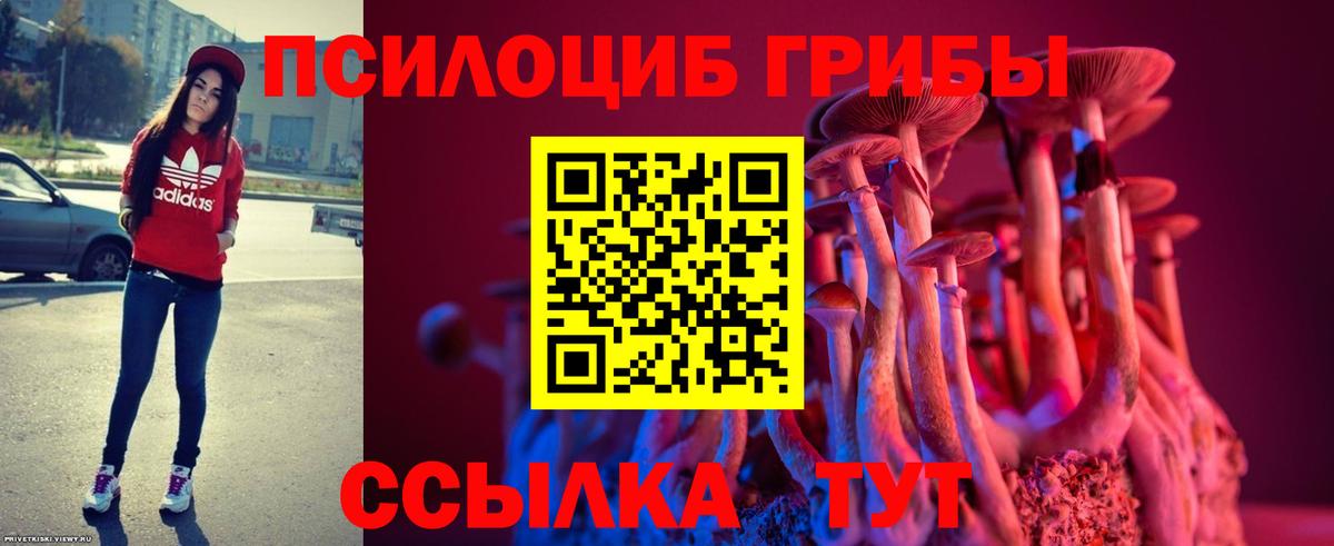 Галлюциногенные грибы мухоморы Дзержинск