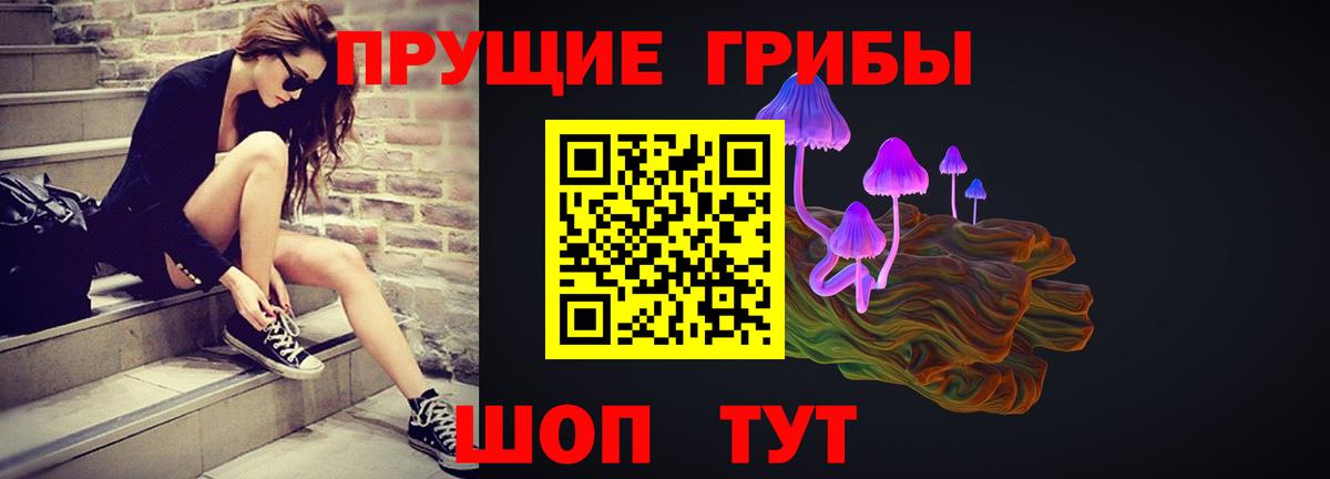 купить закладку  Псилоцибиновые грибы Magic Shrooms  Вход с VPN  Дзержинск 